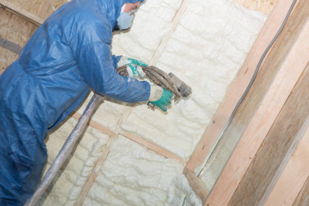 Professional Insulation Installation & Removal in Paia, HI